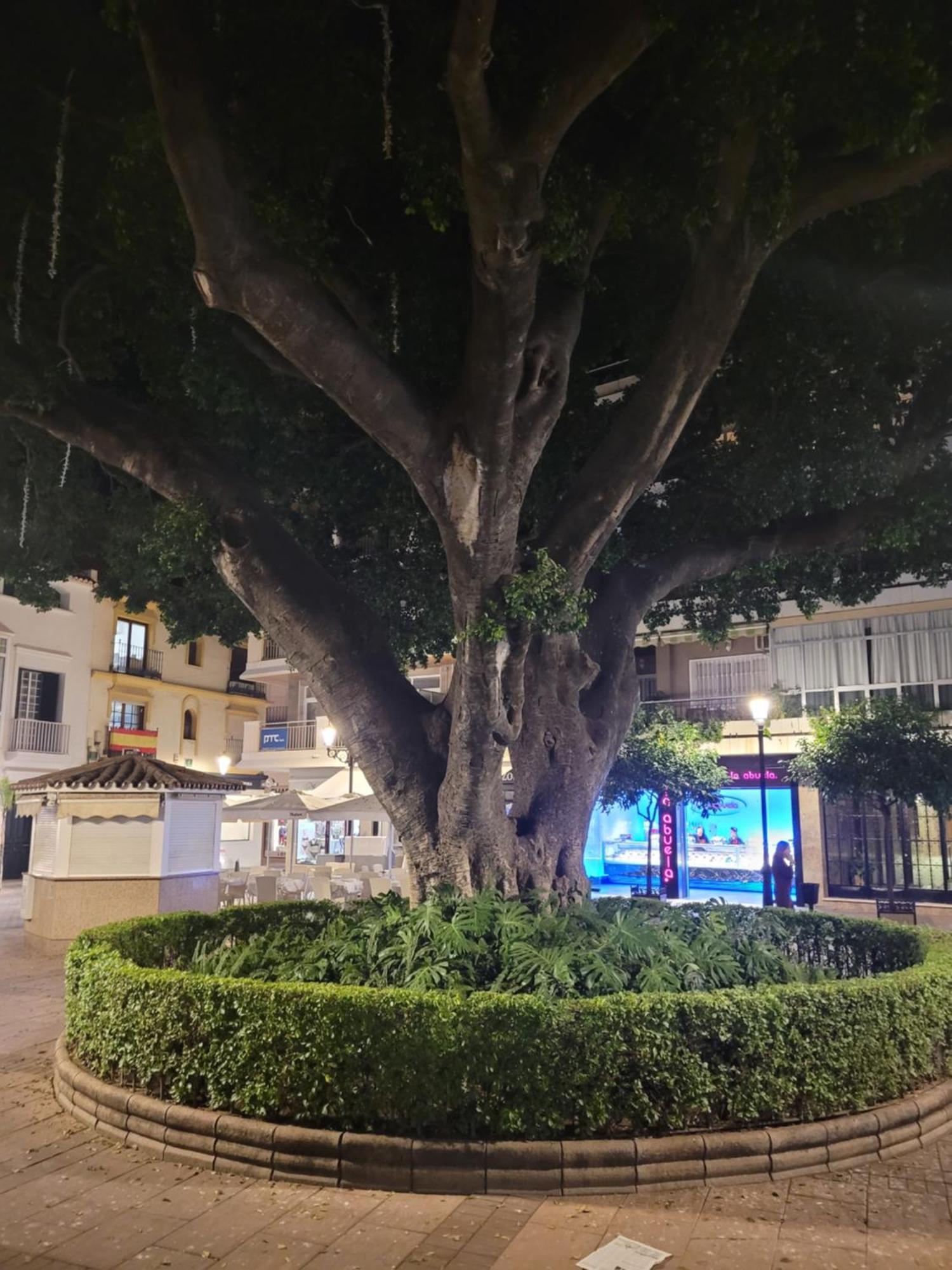 Fuengirola Center Sweet&Beach Eksteriør bilde